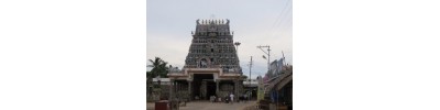 232. திருப்பாதிரிப் புலியூர்
